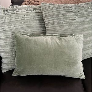Pier 1 Sage Throw Pillows